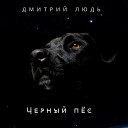 Дмитрий Людь - Черный пес