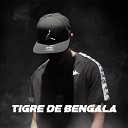 Cotto Rng - Tigre de Bengala