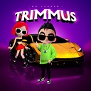 TRIMMUS - По глазам