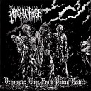 Demonic Rage - Repugnant Shapes In A Ritualistic Coven Of…
