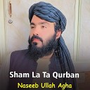 Naseeb Ullah Agha - Sham La Ta Qurban