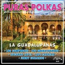 Lupe Cabrera - Las Chifladas Puras Polkas