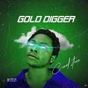 Conal stone - Gold digger