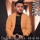 Copilul de Aur feat L l Adi de Adi - Waze