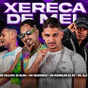 Mc Rodrigues da ZO Wil Bld MC Ricardinho feat Neurose no Beat Mc Paulista do Ibura mc… - Xereca de Mel