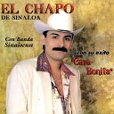 El Chapo De Sinaloa - Morir por Ella
