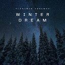 Vladimir Takinov - Winter s Magic