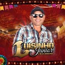 Luisinho Junior - Amor Falso