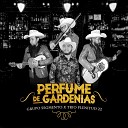 Grupo Segmento Trio Plenitud 22 - Perfume de Gardenias