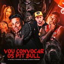 Mc Copinho DJ Buiu da Mangueira MC PIPOKINHA feat Mc… - Vou Convocar os Pit Bull