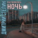 Дмитрий Стелин - Растворилась ночь…