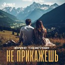 Залина Тхазеплова - Не прикажешь