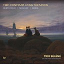 Trio Selene - Trio Contemplating the Moon III Haunting