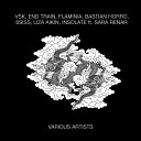 Flaminia - Himalaya On Acid Original Mix