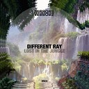 Different Ray - Lost In The Jungle