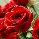 Дмитрий Сабитов - Эти розы для тебя