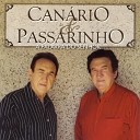 Can rio Passarinho - Boi No Rolete