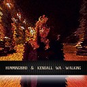 Hummingbird Kendall WA - Walking