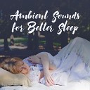 Deep Sleep Maestro - New Age Sounds