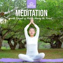 Meditation Music Zone - Sound Therapy