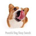 Calming Dog Sleep - Starry Pet Kisses