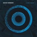 David Herrero - Funny Band Extended Mix