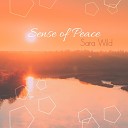Sara Wild - The Last Sun