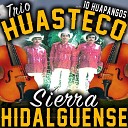 Trio Huasteco Sierra Hidalguense - El Fandanguito