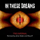 Trio Infernal - In These Dreams Original Mix