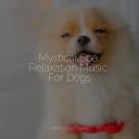 Music for Pets Library Pet Care Club Jazz Music Therapy for… - Regain Energy