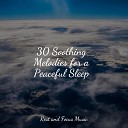 Calming Sounds Relaxation Sleep Meditation Meditation… - Effervescent Happiness