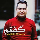 Mostafa Momeni - Unknown