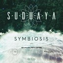 I M D Suduaya - Brise de Vie