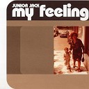 Junior Jack - My Feeling radio edit