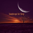 Ambient Sounds Collection - Night Meditation