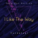 Kandsteyl - I Like That Way