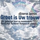 Hervormd Kerkkoor Kampen J Neuteboom feat T van… - Gezang 15 vers 1 en 2 Looft nu mijn ziel de…