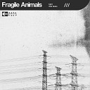 Fragile Animals - Signals