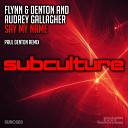 Flynn Denton Audrey Gallagher - Say My Name Paul Denton Remix