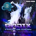 Radix - Friend Or Enemy