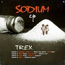 Trex Serum Paul T - Want You Back Trex Rmx