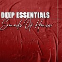 Deep Essentials - Sunset Original Mix