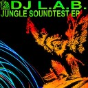 DJ L A B - Where Did That Come From