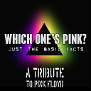 Which One s Pink - Another Brick in the Wall Pt 2