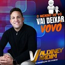 Valdiney Jardim - O Menino de V Vai Deixar Vov Cover