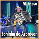 Soninho do Acordeon - Dance Que E Bom