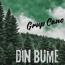 Grup Cano - Din Bume