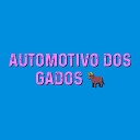 Dj Ero Bou Mc 4R - Automotivo Dos Gados