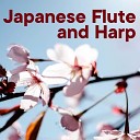 The Healing Project Schola Camerata - Japanese Flute And Harp 2