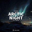 TONE feat MAVO - Arctic Night